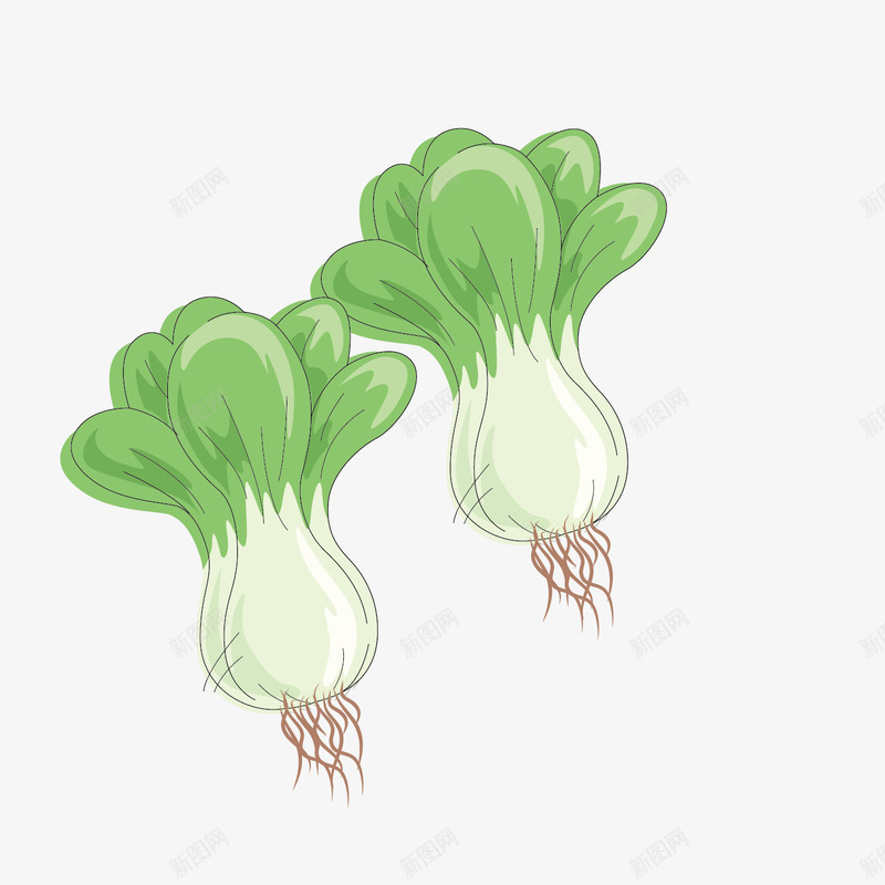 卡通上海青手绘矢量图ai免抠素材_88icon https://88icon.com 根茎类蔬菜 根茎类蔬菜蔬菜设计 植物 植物设计 绿色食物 蔬菜 食物 矢量图