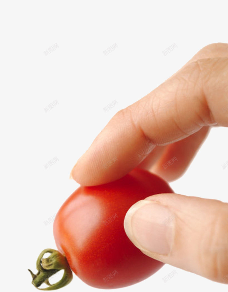 实物手拿红色樱桃番茄png免抠素材_88icon https://88icon.com 圣女果 小番茄 小西红柿 果实 樱桃 樱桃番茄 水果 生津止渴 西红柿