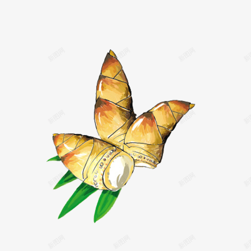 竹笋png免抠素材_88icon https://88icon.com 竹笋 蔬菜