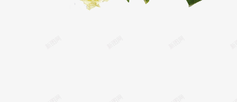 丰富的食材蔬菜png免抠素材_88icon https://88icon.com psd 俯视蔬菜 菜类图片 蔬菜 蔬菜俯视 食材