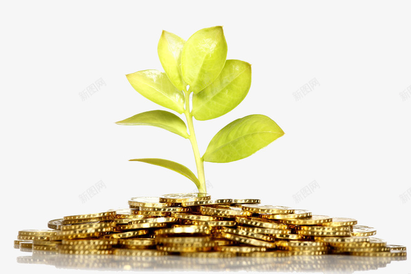 满地黄金和小牙png免抠素材_88icon https://88icon.com 满地黄金 金子 高清免扣素材 黄金 黄金满地