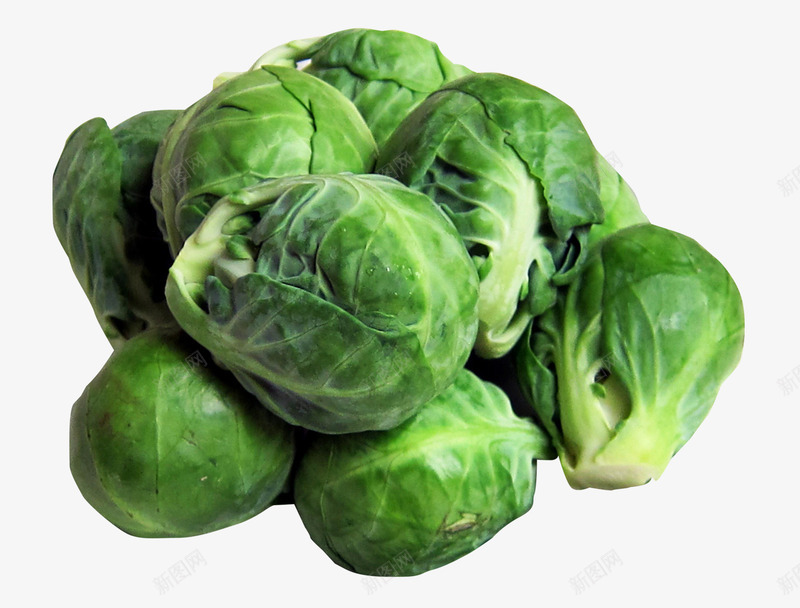 美味卷心菜png免抠素材_88icon https://88icon.com 包菜 卷心菜 可口的 大白菜 新鲜的 美味卷心菜 美味的