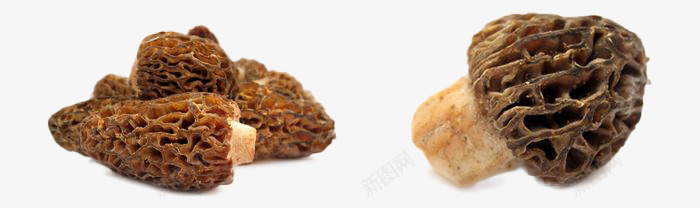 褐色食品行业的羊肚菌png免抠素材_88icon https://88icon.com 烹饪 羊肚菌 褐色 食品