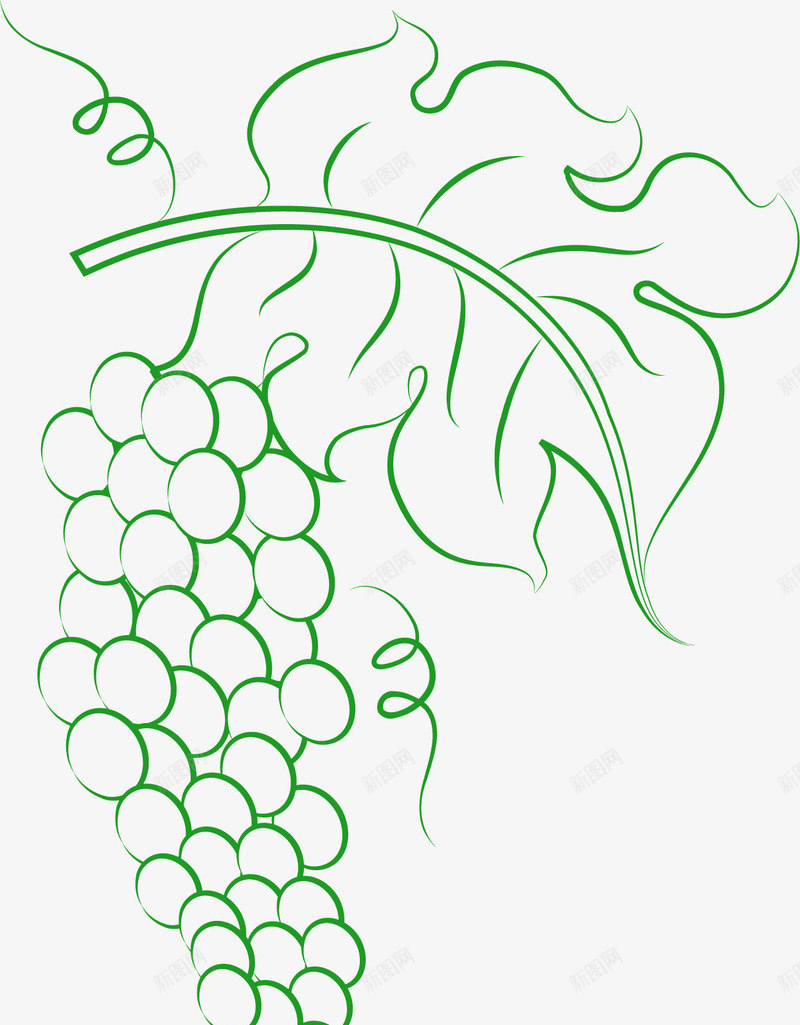 手绘绿色葡萄图案矢量图ai免抠素材_88icon https://88icon.com 图案 手绘 简笔画葡萄 线描葡萄 线稿葡萄 绿色葡萄 矢量图