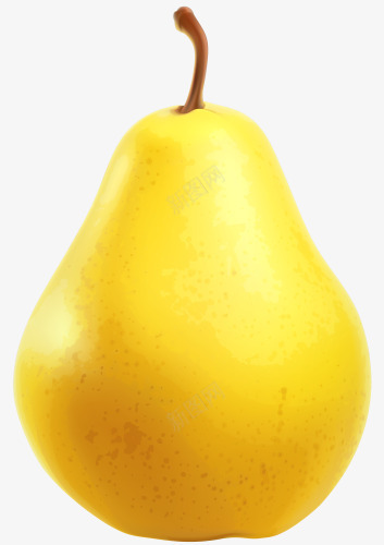 新鲜美味的砀山梨png免抠素材_88icon https://88icon.com 可口 洋梨 砀山梨 鸭梨 黄色