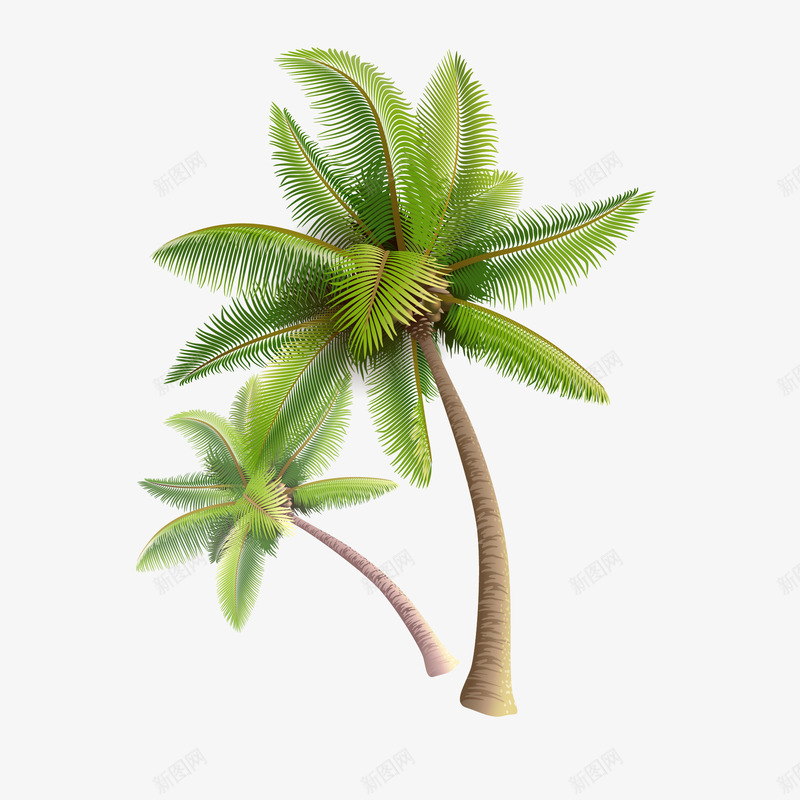 手绘夏日椰子树矢量图eps免抠素材_88icon https://88icon.com PNG免扣图 夏日 手绘 植物 椰子树 矢量图