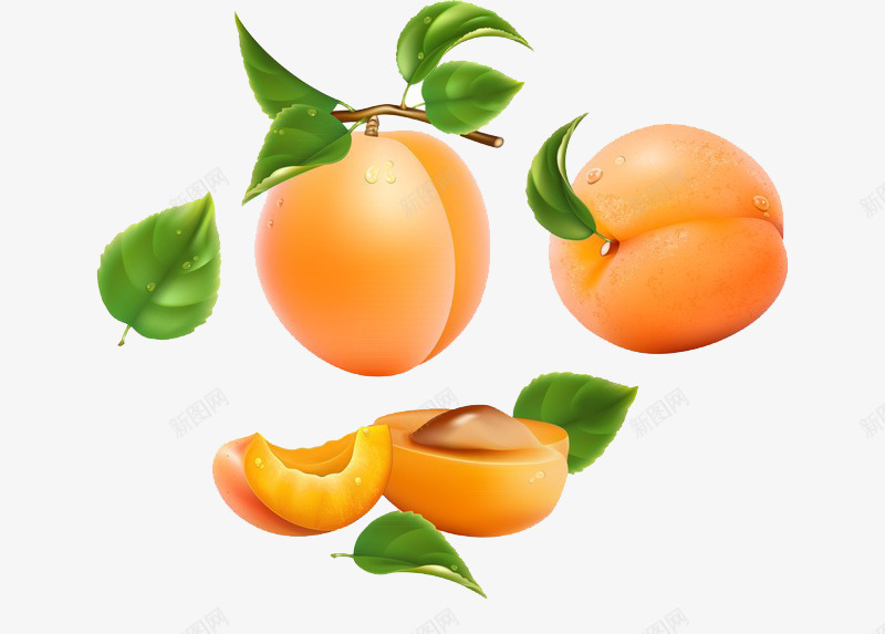 新鲜的成熟黄桃png免抠素材_88icon https://88icon.com 新鲜 维生素 绿叶 黄桃