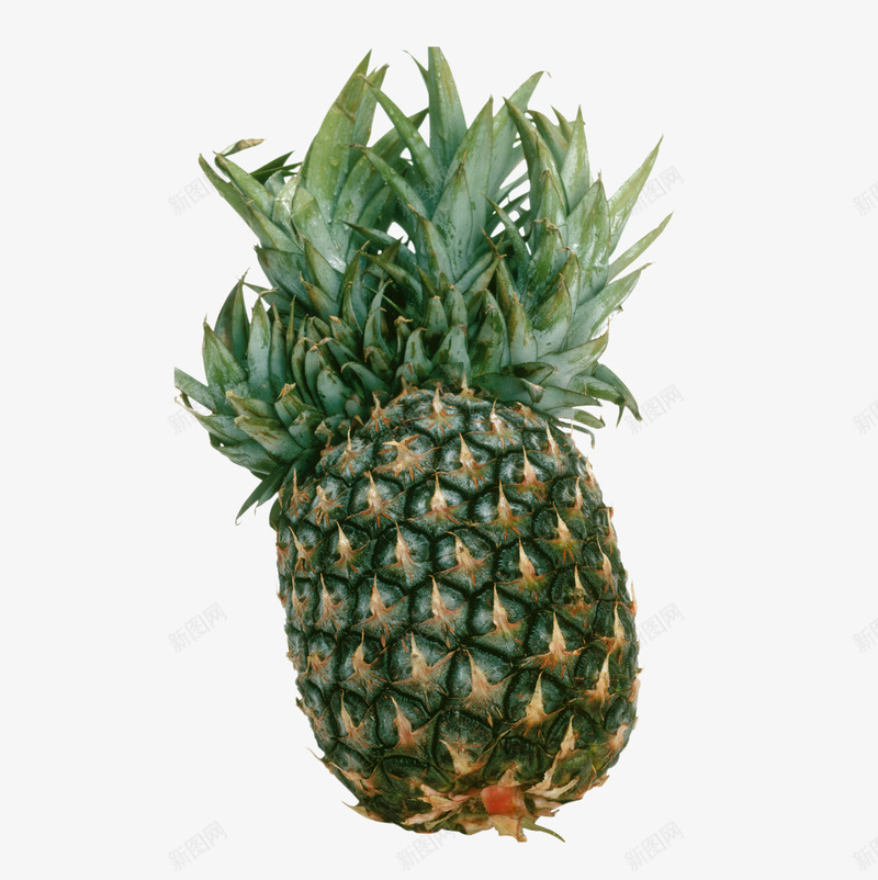 菠萝新鲜的水果png免抠素材_88icon https://88icon.com png 新鲜 水果 真图 菠萝