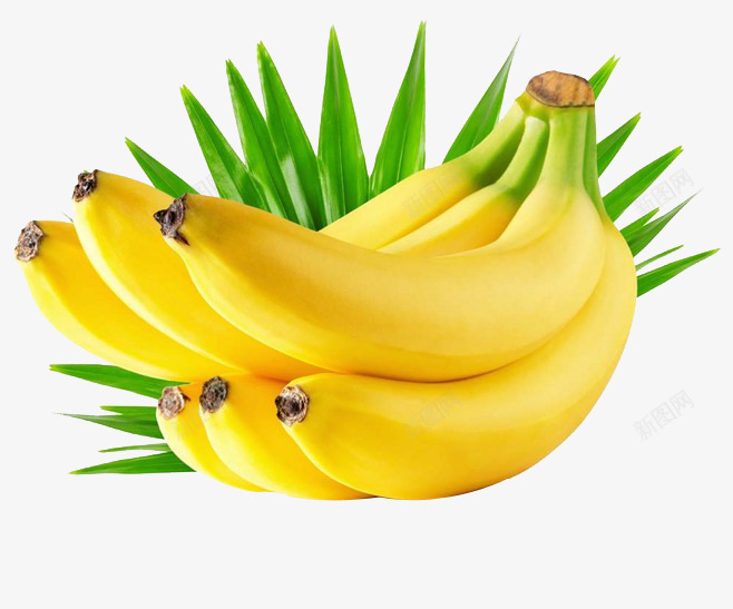 香蕉png免抠素材_88icon https://88icon.com 新鲜 水果 甜品 美食 香蕉叶