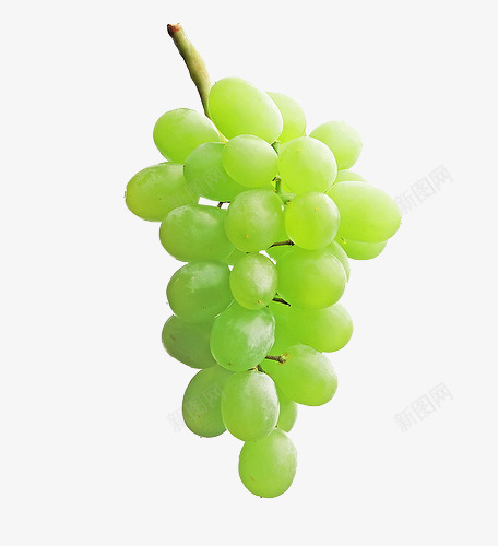 奶油葡萄装饰png免抠素材_88icon https://88icon.com 奶油 葡萄 装饰
