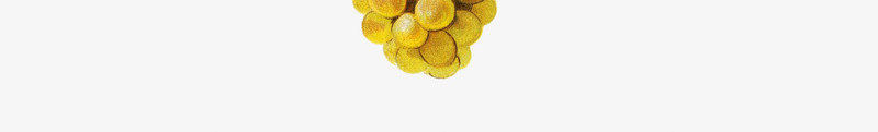 生动创意美食葡萄叶藤图png免抠素材_88icon https://88icon.com 大葡萄叶 植物 水果葡萄 葡萄叶藤 葡萄酒 观赏植物 黄葡萄