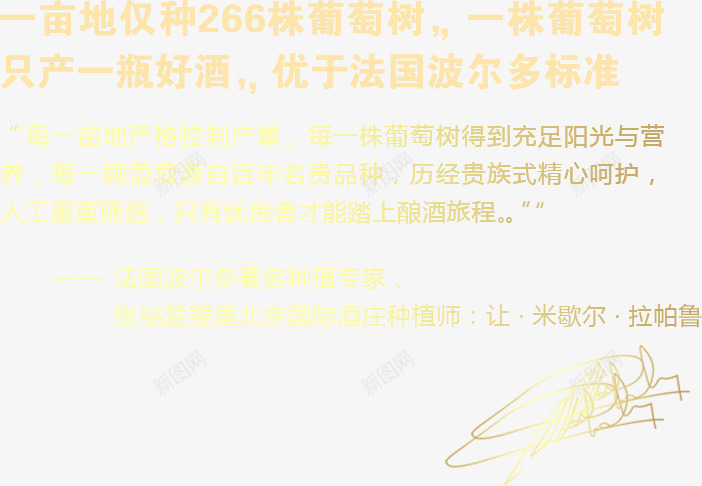 葡萄树png免抠素材_88icon https://88icon.com 文字排版 葡萄树 葡萄树藤 金色文字