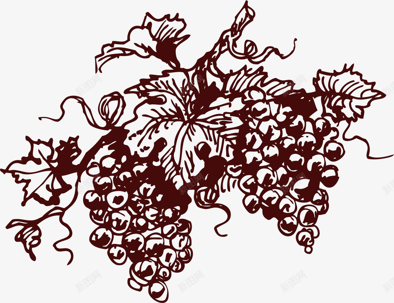 线稿葡萄矢量图eps免抠素材_88icon https://88icon.com 植物 矢量葡萄 线稿 线稿葡萄 矢量图