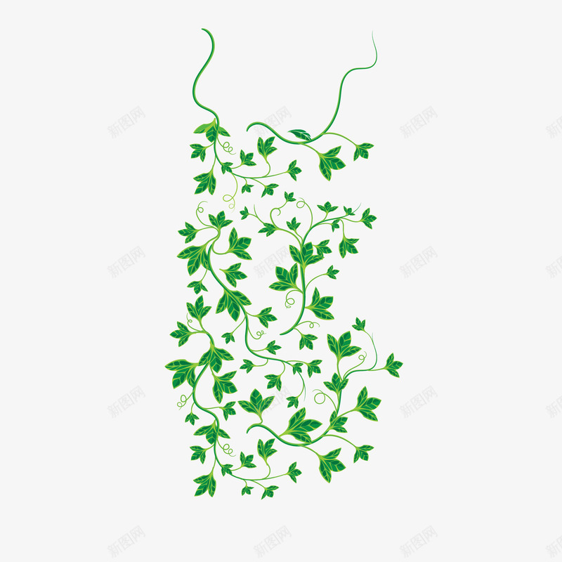 精致绿色藤蔓藤叶png免抠素材_88icon https://88icon.com 植物 滕叶 精美 精致 绿植 绿色 花藤 葡萄藤 葡萄藤叶 藤叶 藤蔓