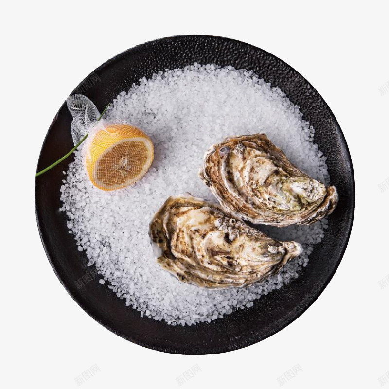 闭口的生蚝png免抠素材_88icon https://88icon.com 新鲜活生蚝 新鲜直达海鲜 烤生蚝 现捕捞海鲜