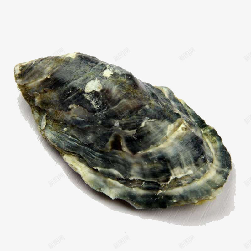 新鲜牡蛎png免抠素材_88icon https://88icon.com 实物 新鲜牡蛎 海鲜 牡蛎 生鲜 进口海鲜 进口生蚝