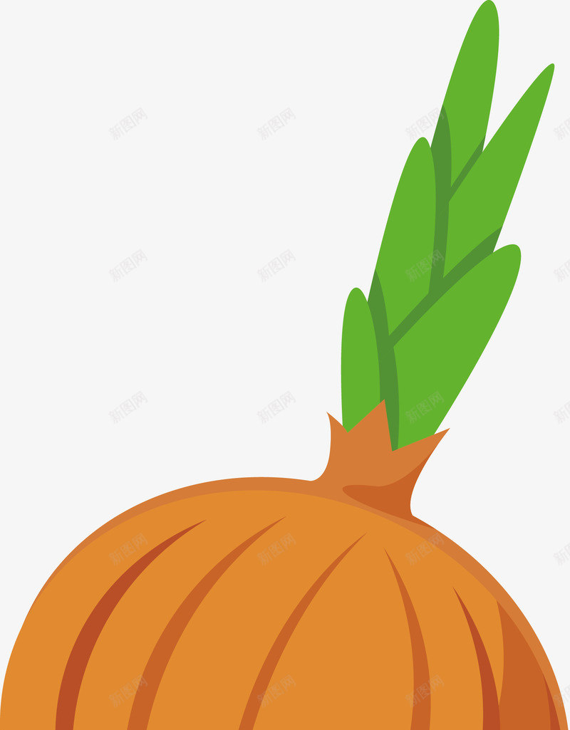 卡通洋葱png免抠素材_88icon https://88icon.com 插画 有机食品 调味品 辅菜