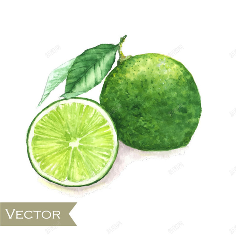 新鲜青柠檬png免抠素材_88icon https://88icon.com 柠檬 水彩 绿色