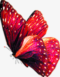 手绘红色模糊蝴蝶png免抠素材_88icon https://88icon.com 模糊 红色 蝴蝶