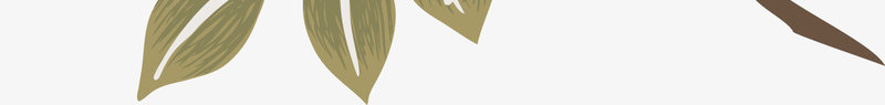 多彩清新花朵装饰图案png免抠素材_88icon https://88icon.com 免抠PNG 多彩 清新 花朵 装饰图案