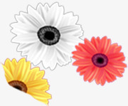 春天清新手绘黄色菊花png免抠素材_88icon https://88icon.com 春天 清新 菊花 黄色