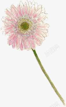 手绘彩绘菊花装饰png免抠素材_88icon https://88icon.com 彩绘 手绘 菊花 装饰
