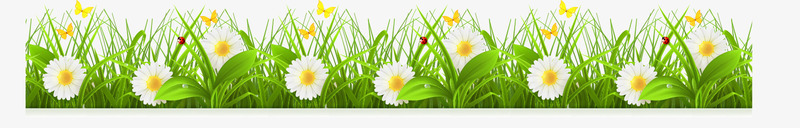 菊花矢量图ai免抠素材_88icon https://88icon.com 花丛 草 菊花 鲜花 矢量图