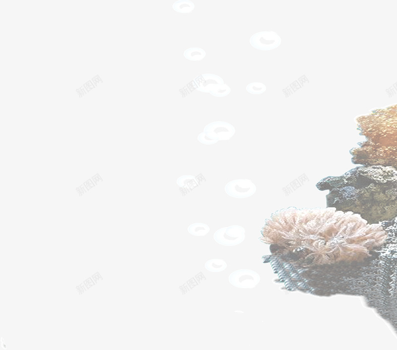 模糊的海底生物png免抠素材_88icon https://88icon.com 模糊 生物 素材