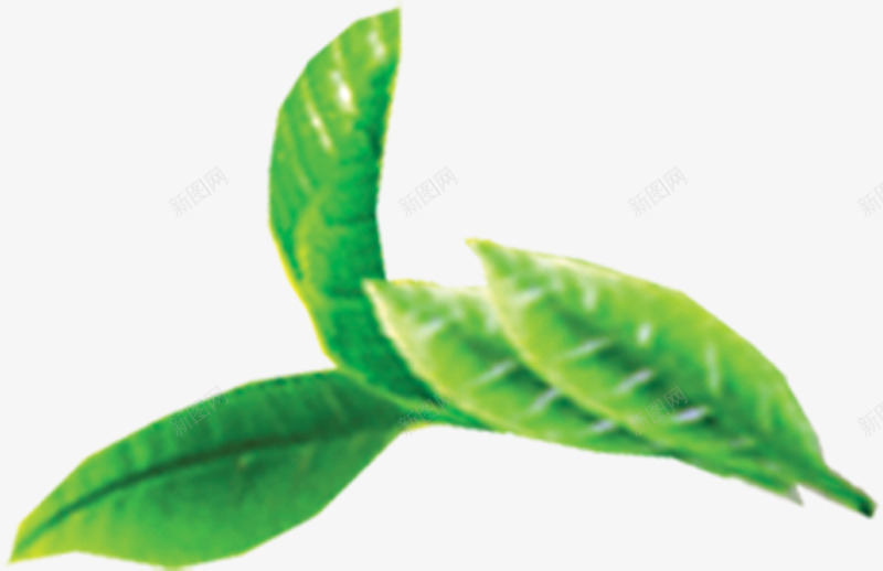 绿色模糊竹叶风光png免抠素材_88icon https://88icon.com 模糊 竹叶 绿色 风光