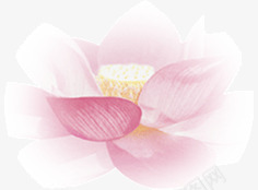 边缘模糊莲花花瓣png免抠素材_88icon https://88icon.com 模糊 花瓣 莲花 边缘