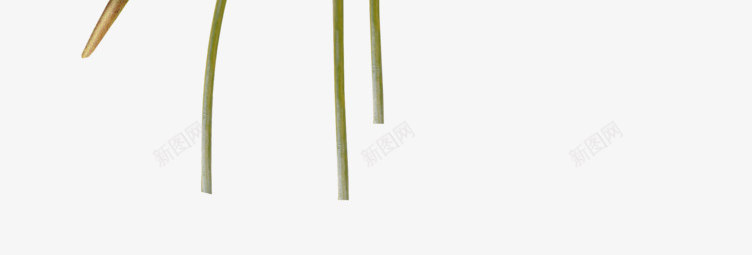 金属小麦老鼠png免抠素材_88icon https://88icon.com 小麦 老鼠 金属小麦 麦子
