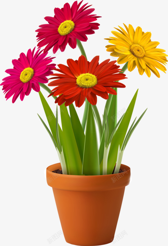 彩色小菊花png免抠素材_88icon https://88icon.com 可爱 好看 简单 菊花