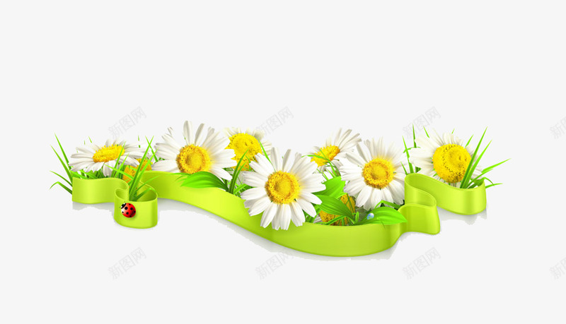 白色小菊花矢量图eps免抠素材_88icon https://88icon.com 植物 白色 菊花 矢量图