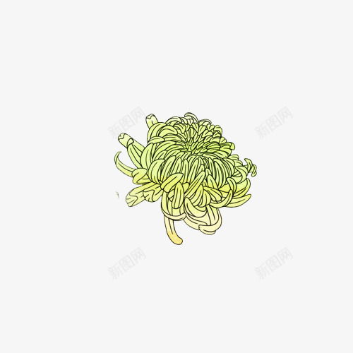 黄色菊花花瓣png免抠素材_88icon https://88icon.com 手绘 花瓣 菊花 黄色