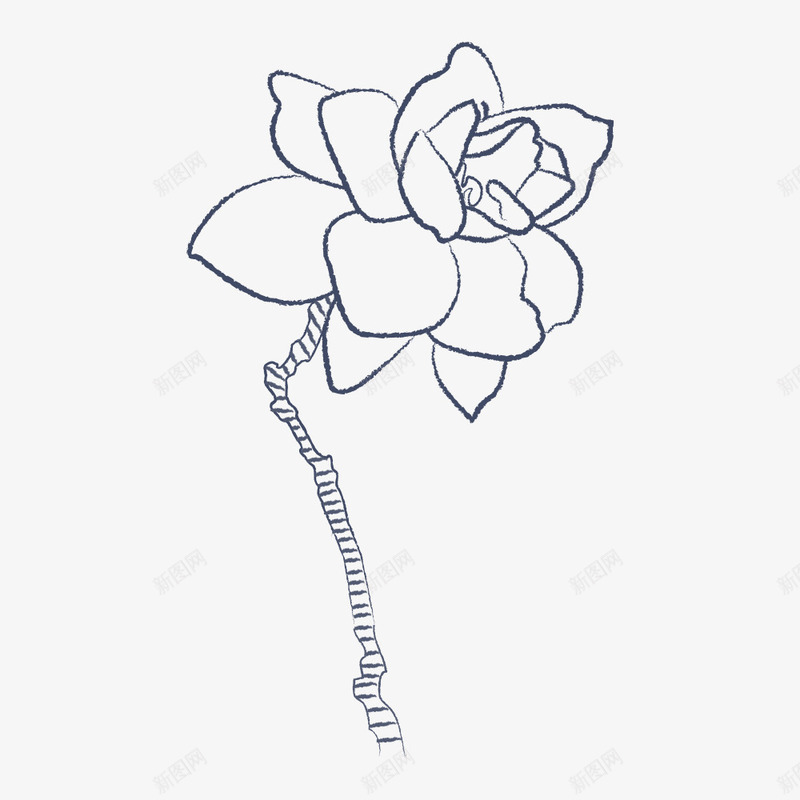 一枝花速写png免抠素材_88icon https://88icon.com 一枝花速写 底图 手绘花卉 漂亮花卉 素描花卉 线描花卉 装饰图案 设计底图