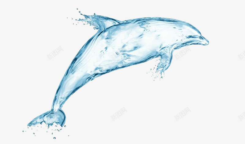 水鱼装饰png免抠素材_88icon https://88icon.com 水花 水鱼 矢量装饰 蓝色 装饰 鱼