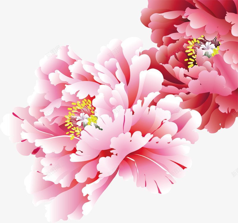 粉色国庆花元素png免抠素材_88icon https://88icon.com 创意国庆花 卡通花朵 可爱国庆花 国庆花元素 漂亮国庆花 矢量国庆花