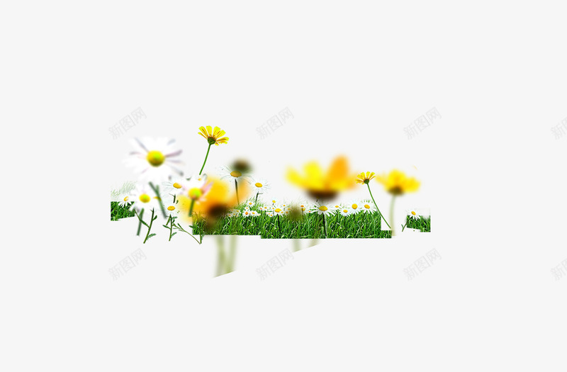 小草地鲜花野菊花草丛绿png免抠素材_88icon https://88icon.com