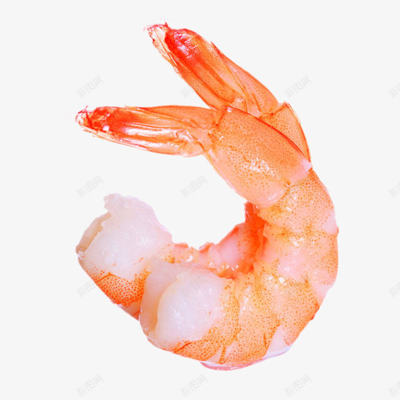 实物油焖虾png免抠素材_88icon https://88icon.com 免扣 免费下载 小龙虾 椒盐虾 油焖虾 海鲜 美食 菜 虾 食物