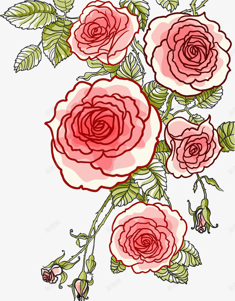 水彩风格牡丹花矢量图eps免抠素材_88icon https://88icon.com png元素 水彩画 牡丹花 矢量图案 装饰图案 矢量图