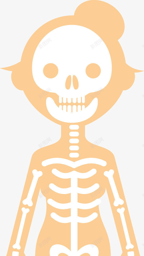 女人人体骨架图png免抠素材_88icon https://88icon.com 人体 人体器官 人体躯干 人的肢体 卡通人体 卡通肢体 器官 四肢 女人躯体 躯体