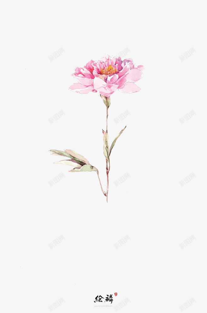 牡丹绽放png免抠素材_88icon https://88icon.com 清新 生机 花