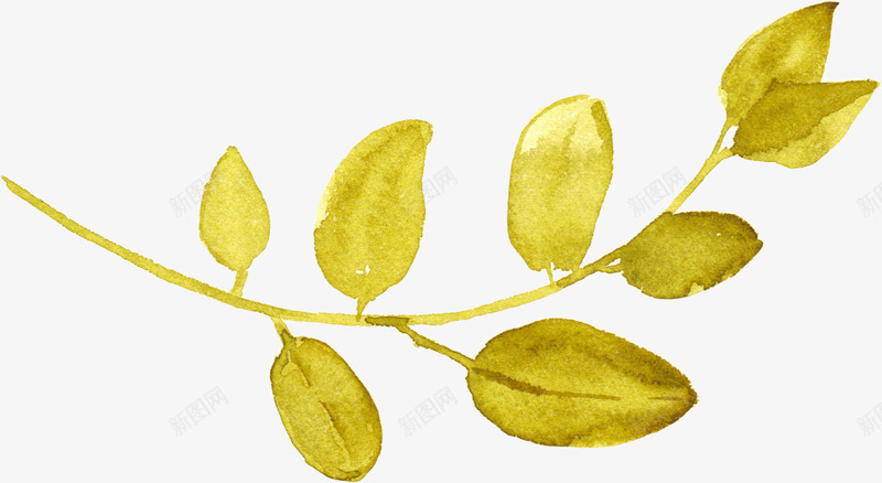手绘植物png免抠素材_88icon https://88icon.com 唯美花卉 手绘 手绘花卉 手绘花草 月季花 水墨花卉 水彩花卉 牡丹 玫瑰花 绿色植物 花卉 花卉设计 花草 飘落