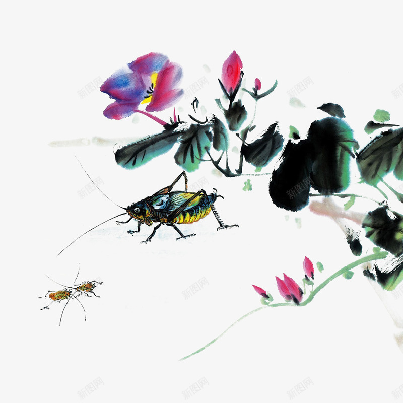 中国风水墨牵牛花和蚱蜢png免抠素材_88icon https://88icon.com 中国风 写意 喇叭花 水墨 水墨牵牛花 牵牛花 花鸟图 蚂蚱 蚱蜢