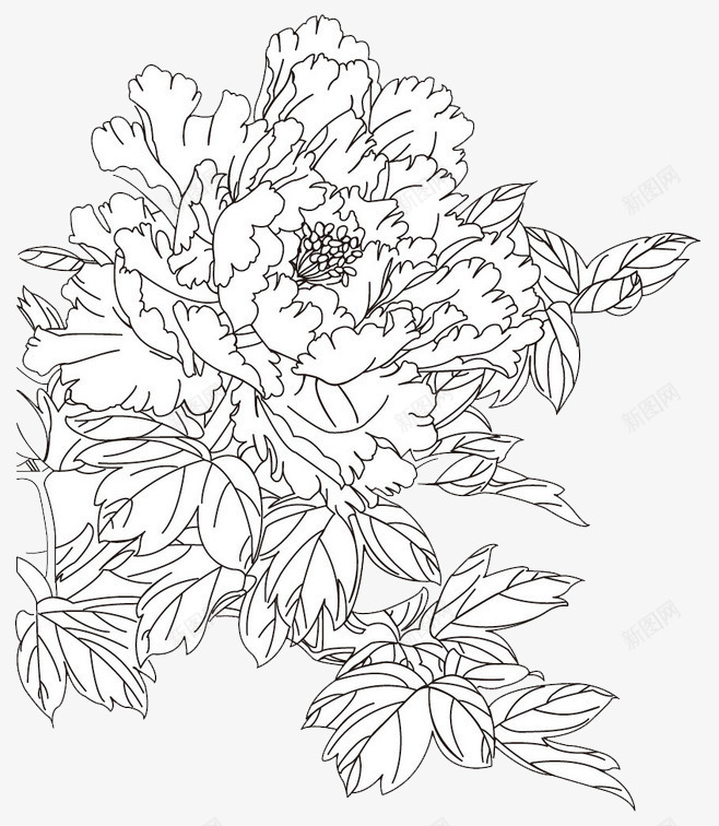 牡丹花工笔画png免抠素材_88icon https://88icon.com 植物 牡丹花 牡丹花骨朵 素材 花卉