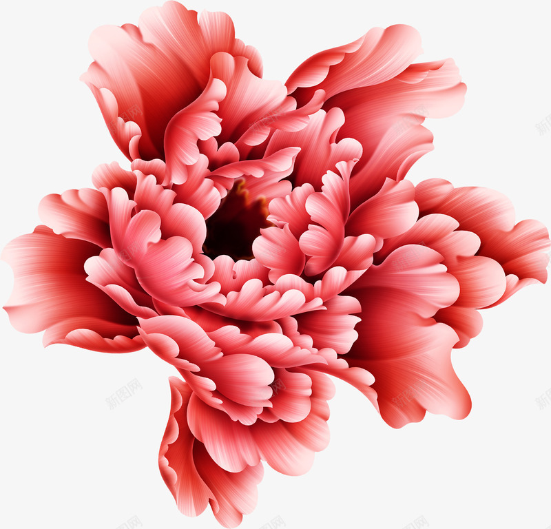 手绘牡丹花婚庆png免抠素材_88icon https://88icon.com 婚庆 牡丹花 素材