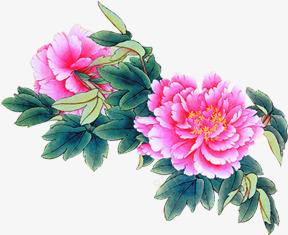 手绘粉色牡丹花包装png免抠素材_88icon https://88icon.com 包装 牡丹花 粉色