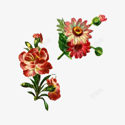 红色富贵花png免抠素材_88icon https://88icon.com 百花 红色牡丹 红色花朵