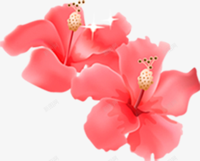 手绘红色盛开牡丹花卉png免抠素材_88icon https://88icon.com 手绘 牡丹 盛开 红色 花卉