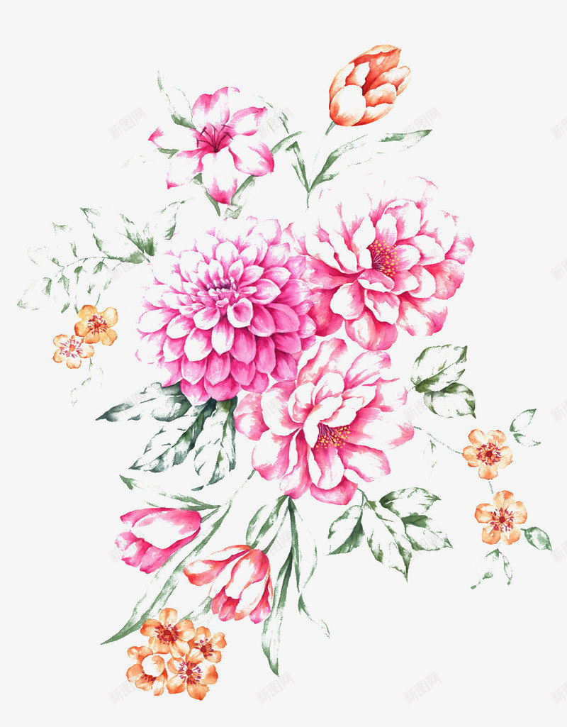 水彩花卉植物png免抠素材_88icon https://88icon.com 多肉植物 淡橙色 粉色 绘画 美术